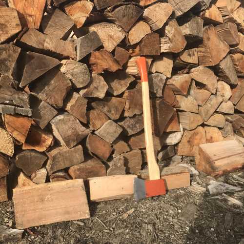 Picture of Native Beech 2 m3